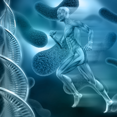 Módulo 2 - Conocimientos Básicos en el Fitness AAFEF